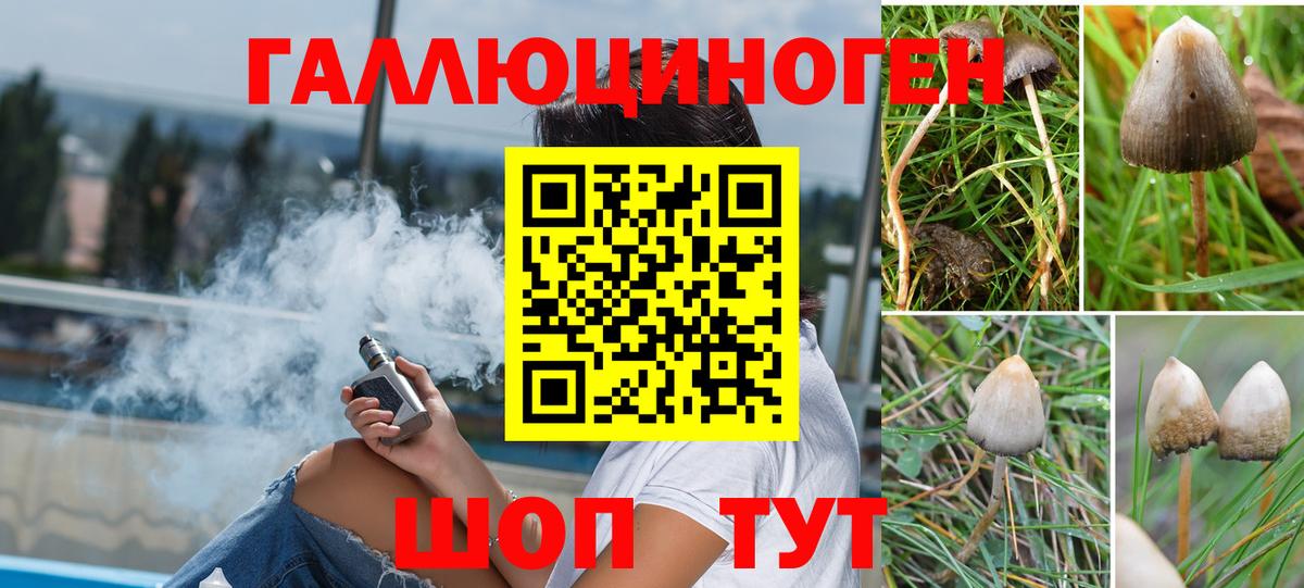 Галлюциногенные грибы Magic Shrooms Зима