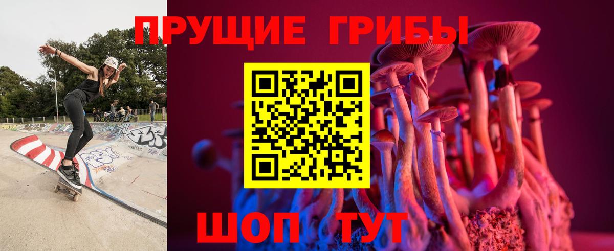 Псилоцибиновые грибы Psilocybe  Галлюциногенные грибы GOLDEN TEACHER  Зима  Вход с VPN 